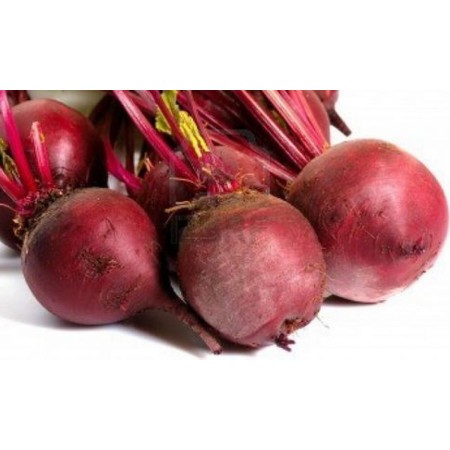 BARBABIETOLA CRUDA FRESCA